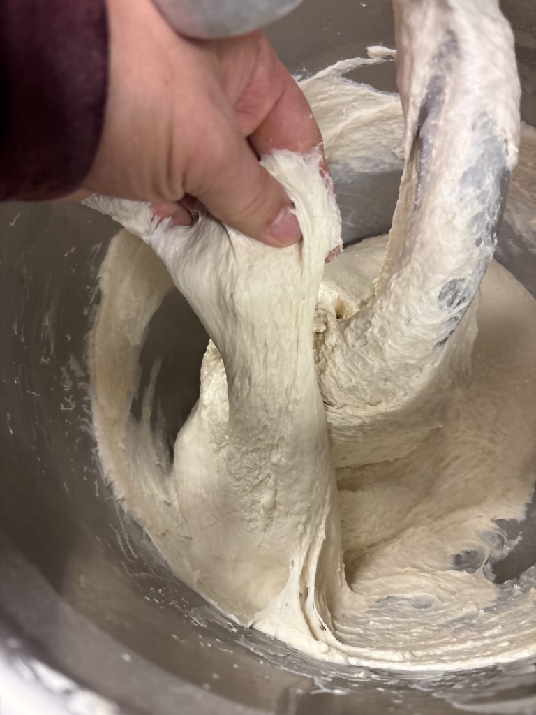 Sourdough Pizza Dough for Mixer (5 lb + Small Batch)